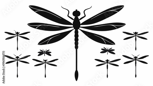 Dragon Fly silhouettes. insect Isolated on white background