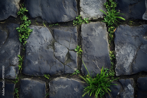 Grass Sprouts Between Cracks in Old Stone Path, Nature Reclaiming Man-Made Surfaces photo