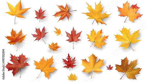 Fall and autumn leaves isolated on a white background collection 