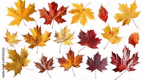 Fall and autumn leaves isolated on a white background collection Aİ Generative