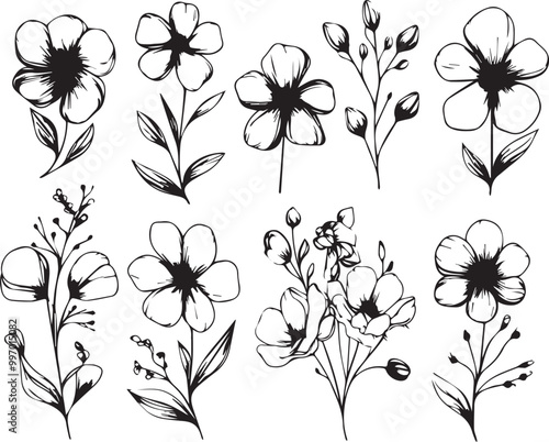 Set Flowers. Hand drawn vector illustration 