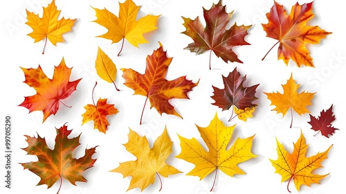 Colorful Autumn falling leaves isolated on transparent background.  Ai Generative
