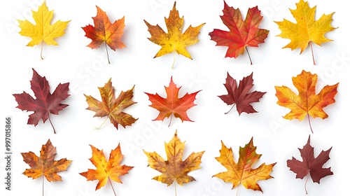 Colorful Autumn falling leaves isolated on transparent background. Ai Generative 