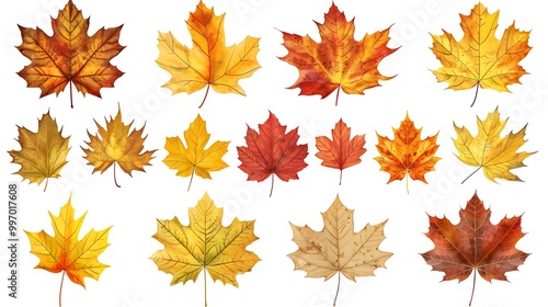 Colorful autumn leaves set isolated on white background ai generative