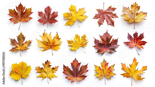 Colorful autumn leaves set isolated on white background ai generative