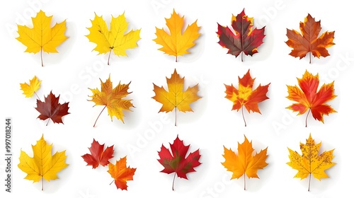 Colorful autumn leaves set isolated on white background ai generative