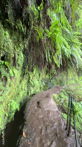 Vertical video of a hiker exploring the stunning Levada do Caldeirao Verde trail on Madeira Island