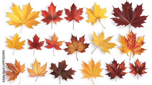 Colorful autumn leaves set isolated on white background Al Generative 