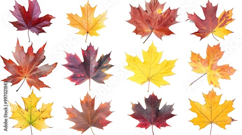 Colorful autumn leaves set isolated on white background Al Generative 