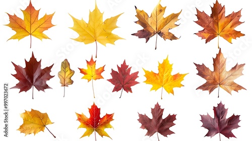 Colorful autumn leaves set isolated on white background Al Content