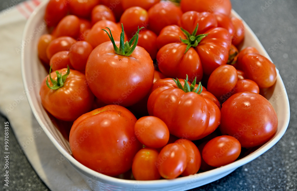 Fresh harvested home grown organic tomatoes for vegetarian healthy meals, sauces and salsas. Fresh harvested home grown organic tomatoes for vegetarian healthy meals, sauces and salsas.