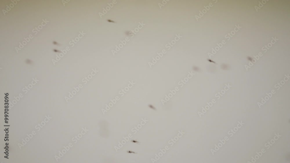 A blurry image of a white wall with a few dots on it. The dots are scattered all over the wall, and the image is not very clear. Scene is somewhat mysterious and somewhat unsettling A blurry image of a white wall with a few dots on it. The dots are scattered all over the wall, and the image is not very clear. Scene is somewhat mysterious and somewhat unsettling