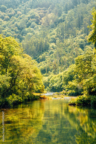 Misty morning scene of lake. Foggy summer sunrise in Galicia, Spain, Europe. Beauty of nature concept background. Fragas Eume.
