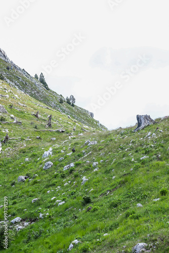 landscape in the mountain of Munelle Albania