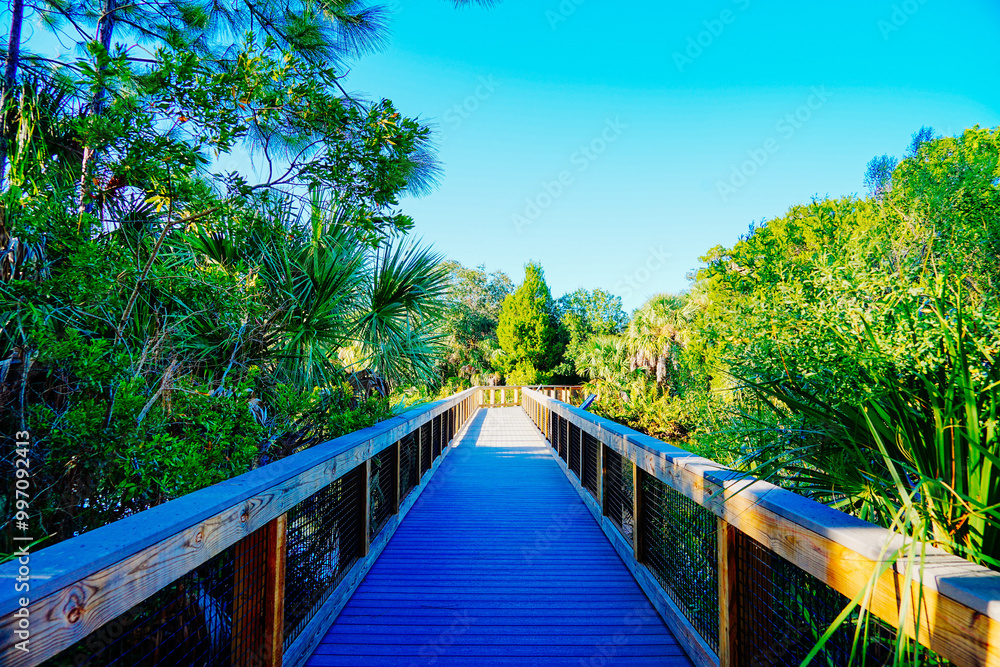 Obraz premium Wall Springs Park and Pinellas Trail in Palm Harbor in Pinellas county