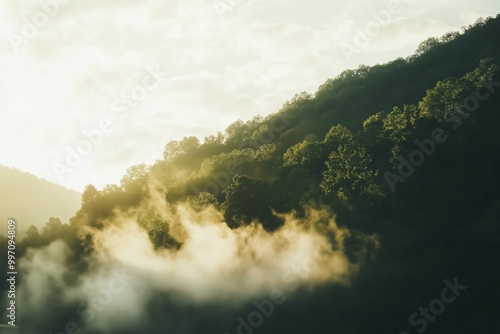 Misty Mountain Landscape