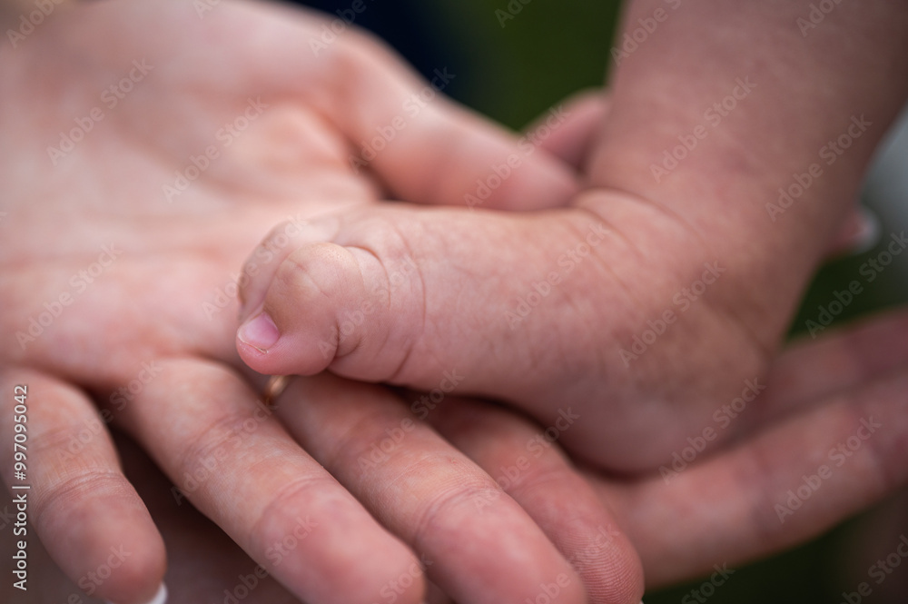leg of newborn baby held by parents, baby, close-up view, selective focus leg of newborn baby held by parents, baby, close-up view, selective focus