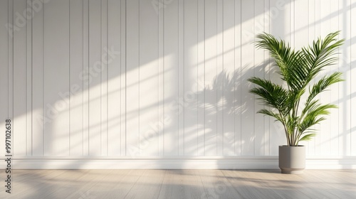 Modern Interior with White Wall, Potted Plant, and Wooden Flooring