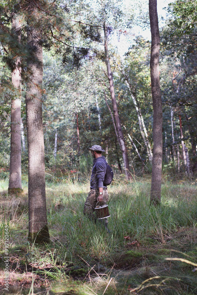 Obraz premium Mushroom picker in the forest. Mushroom picking in the forest