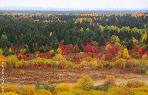 Colores de otoño Nature