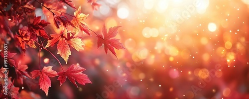 Golden autumn light embracing vibrant red leaves, creating a warm and inviting atmosphere perfect for seasonal themes.