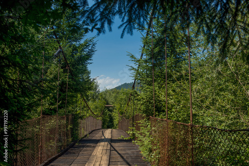 Suspension Bridge across the Carpathian River