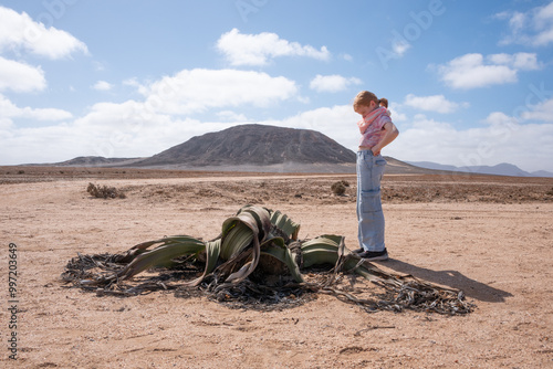 The ancient Welwitschia plant (Welwitschia mirabilis) in the Namibian desert with a young girl looking at it somewhat perplexed.
