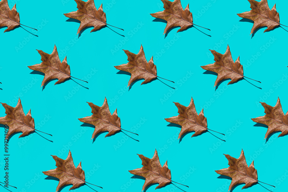 Autumn wallpaper, a pattern of dry leaves on a bright blue background. Autumn wallpaper, a pattern of dry leaves on a bright blue background.
