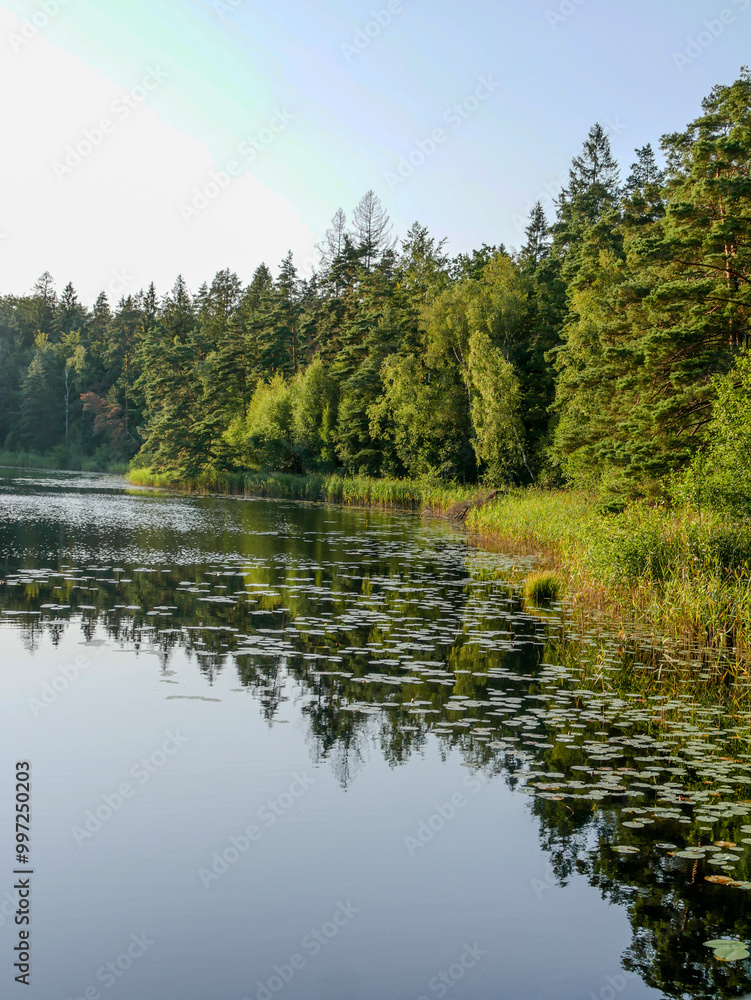 Beautiful landscape photography by a lake in summer. Surrounded by forest and nature. Beautiful landscape photography by a lake in summer. Surrounded by forest and nature.