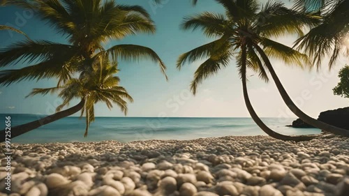 Tropical beach with blue sky and palm tree background. Summer vacation and nature environment concept photo