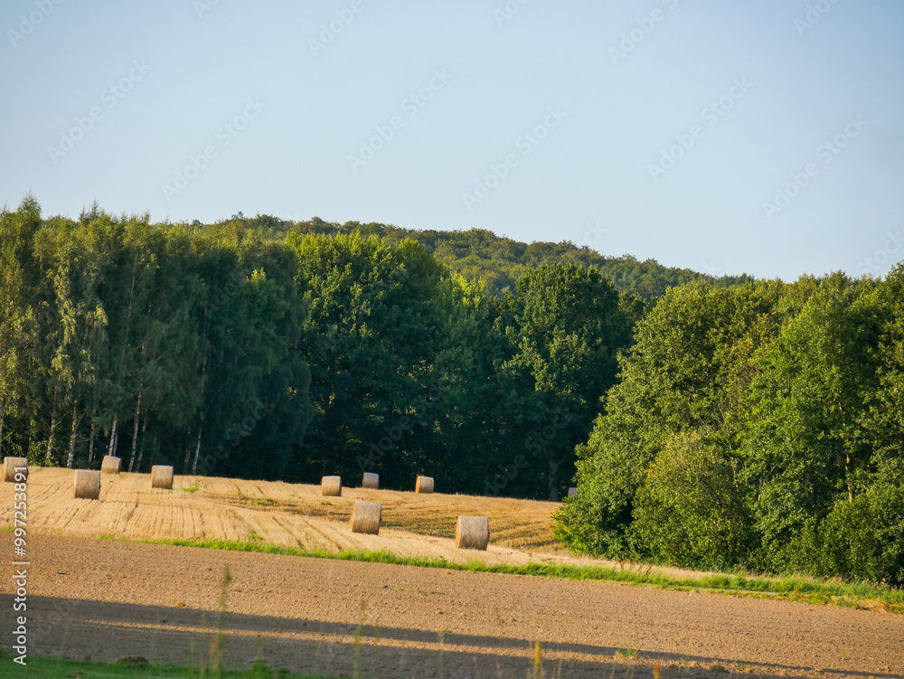 Fototapeta premium Beautiful golden summer field. Hay bales laying everywhere. Summertime landscape photography over meadow.