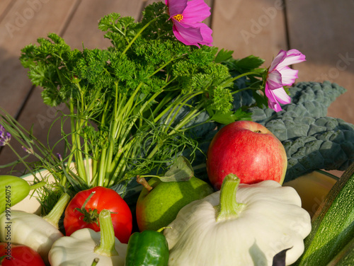 Bowl filled with newly harvested produce. Home grown and organic vegetables. Tomatoes, zucchini, parsley, flowers, apples, pears, beans, peppers, chillies and kale. photo