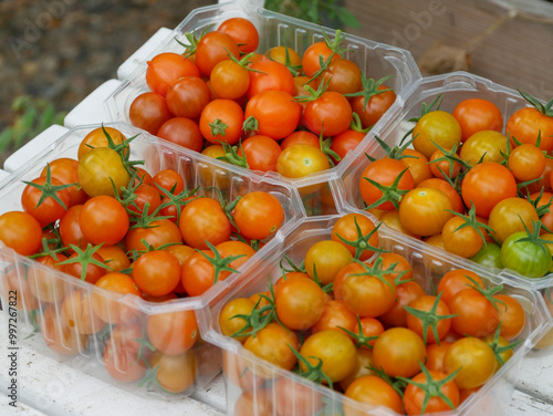 Orange tomatoes