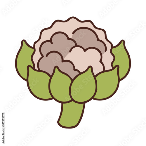  Vector Illustration Fresh Cauliflower with Green Leaves for Healthy Cooking Design