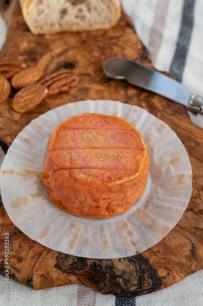 Rond des Vignes washed-rind cheese with.ivory-orange rind, strong nose with aromas, French soft cheese with orange rind Rond des Vignes washed-rind cheese with.ivory-orange rind, strong nose with aromas, French soft cheese with orange rind