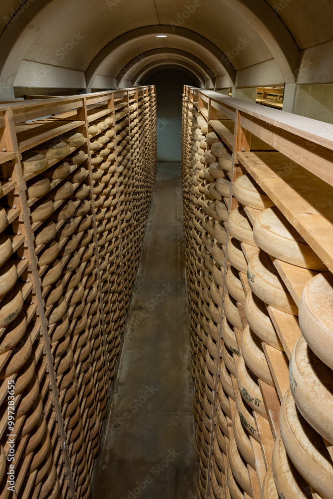 Obraz premium Aging rooms with shelves in cheese caves, central location for aging of wheels, rounds of Comte cheese from four months to several years made from raw cow milk, Jura, France