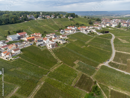 Aerial view on green grand cru vineyards near Cramant and Avize, region Champagne, France. Cultivation of white chardonnay wine grape on chalky soils of Cote des Blancs photo