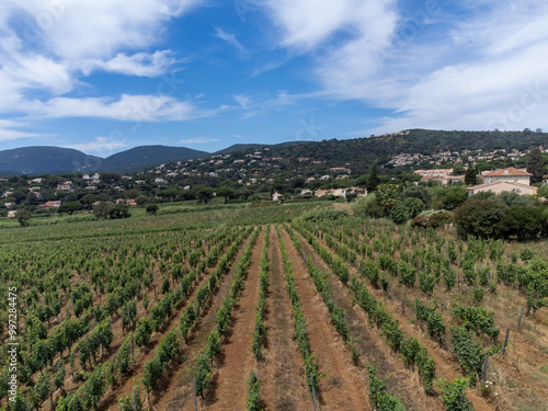 Wallpaper Mural Aerial view on hills, houses and green vineyards Cotes de Provence, production of rose wine near Saint-Tropez and Pampelonne beach, Var, France in summer Torontodigital.ca