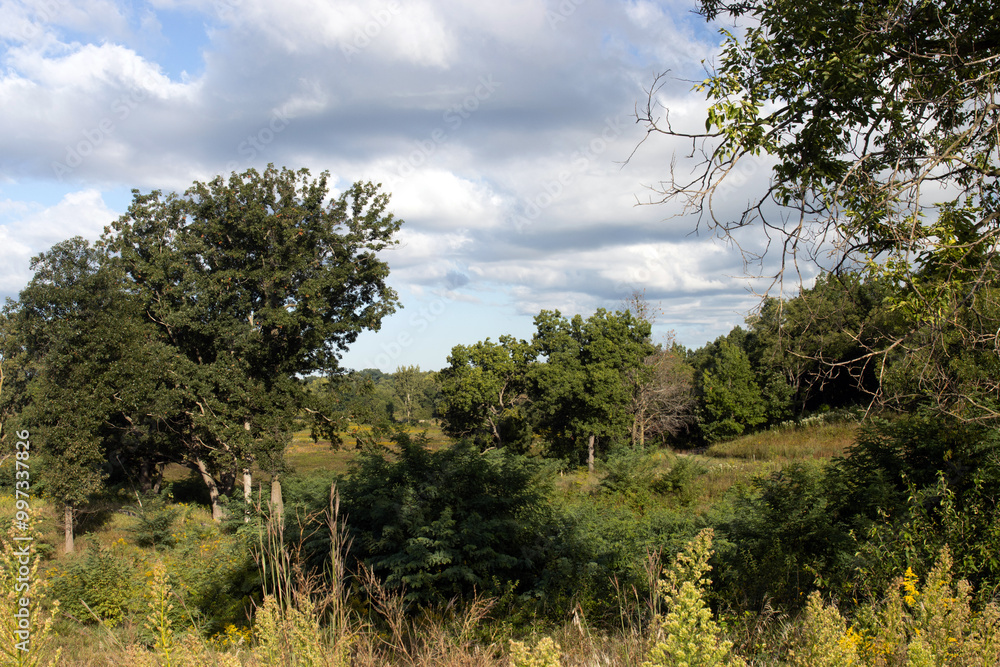 Rare marsh or fen, native prairie grasses, and trees in autumn at Moraine Hills State Park in McHenry County, Illinois Rare marsh or fen, native prairie grasses, and trees in autumn at Moraine Hills State Park in McHenry County, Illinois