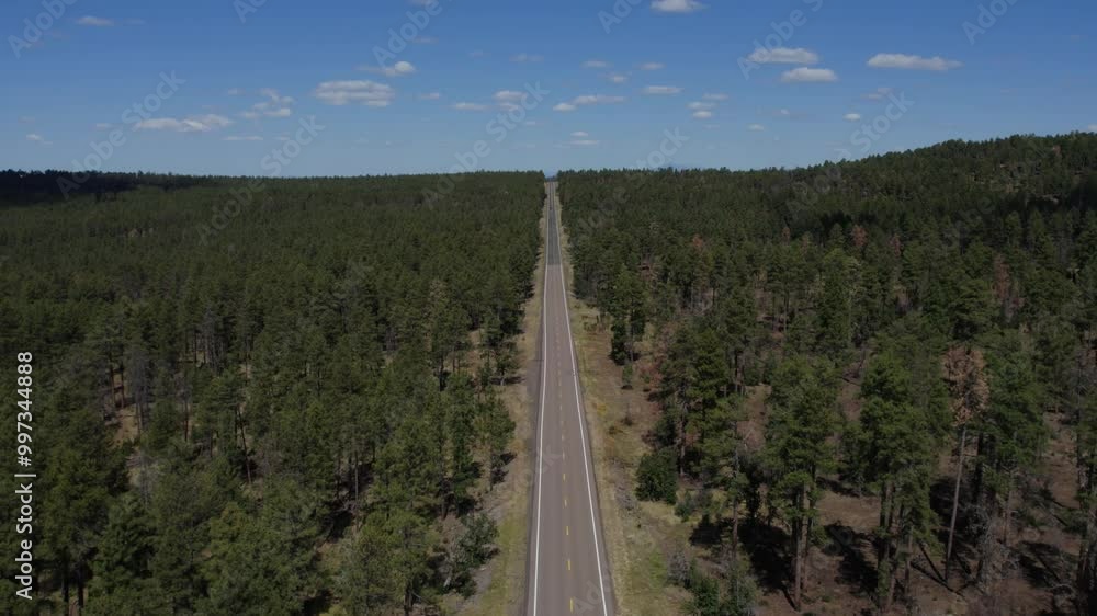 Aerial of a rural highway heading straight through a forest Aerial of a rural highway heading straight through a forest