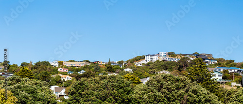 Hilltop Residential Homes on Miramar Peninsula, Wellington, New Zealand