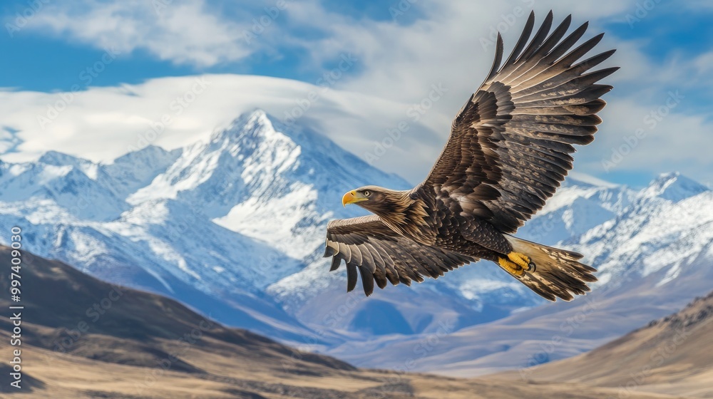 Fototapeta premium Majestic eagle in flight above serene mountain range, showcasing the beauty of nature and the freedom of the open sky, a symbol of strength and wilderness.
