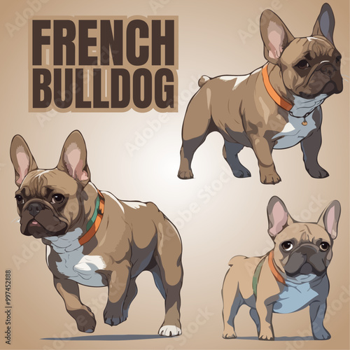 French Bulldog Illustration