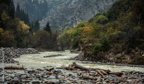 stream in the mountains