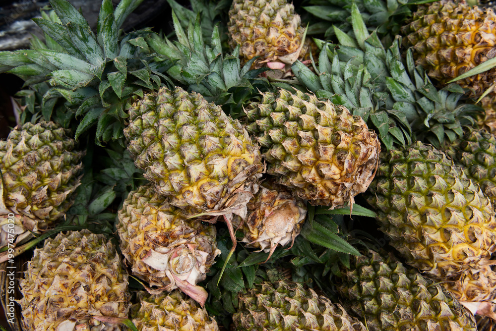 Fresh pineapples. Fresh pineapples.