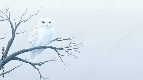 Snow owl perched on a barren tree in a winter landscape photo