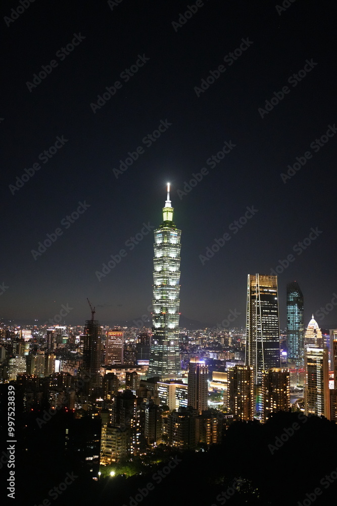 Fototapeta premium 타이베이 101 타워의 야경