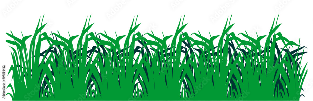 green grass green grass
