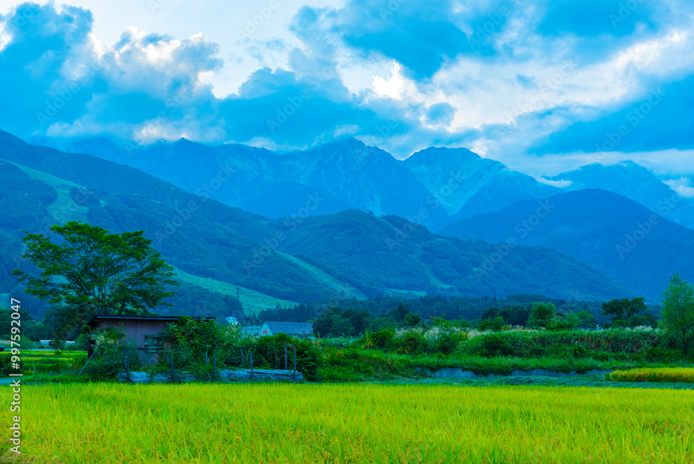 夕暮れの白馬三山 夕暮れの白馬三山