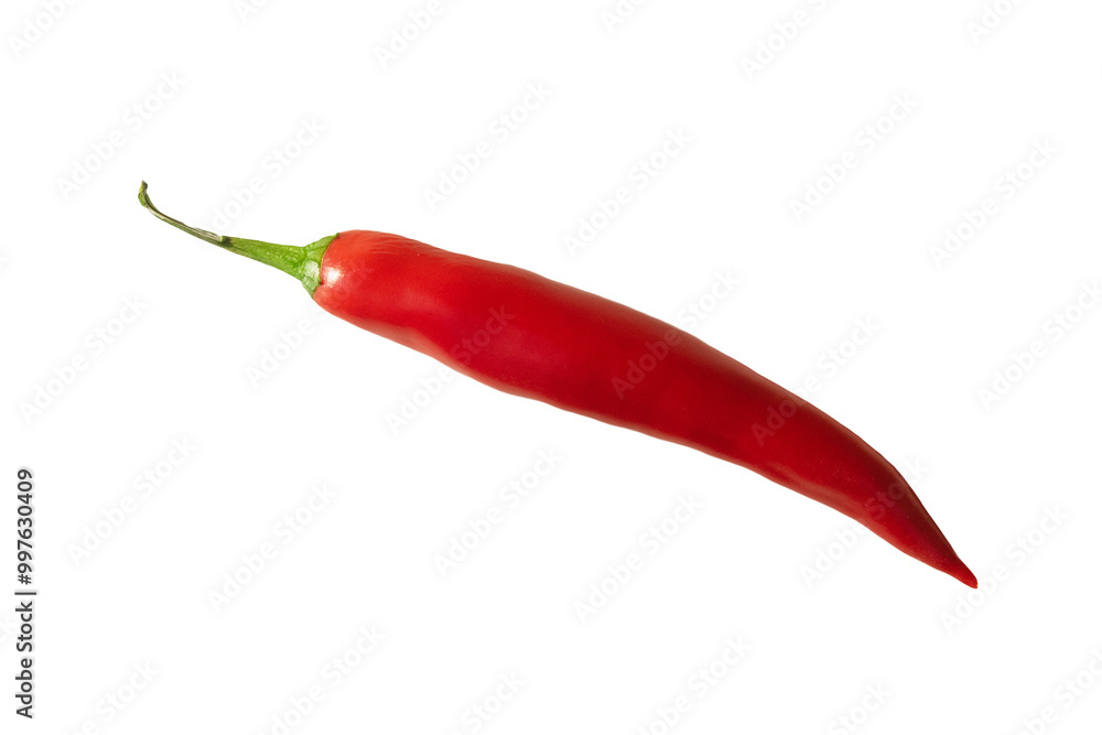 Czerwona ostra papryczka, papryka chilli. Bez tła Czerwona ostra papryczka, papryka chilli. Bez tła